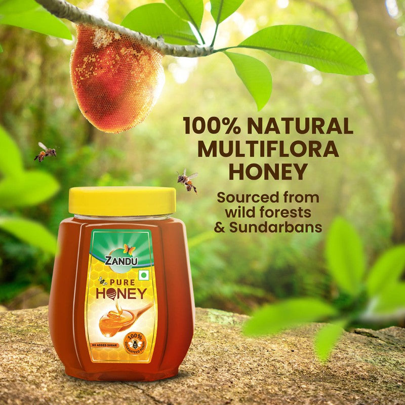 Zandu Pure Honey (500G PET Jar)