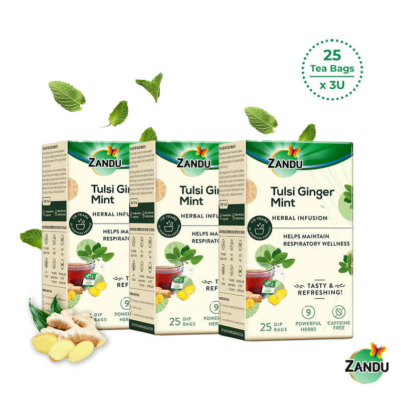 Tulsi Ginger Mint Herbal Infusion (25 Tea Bags)(Pack of 3)