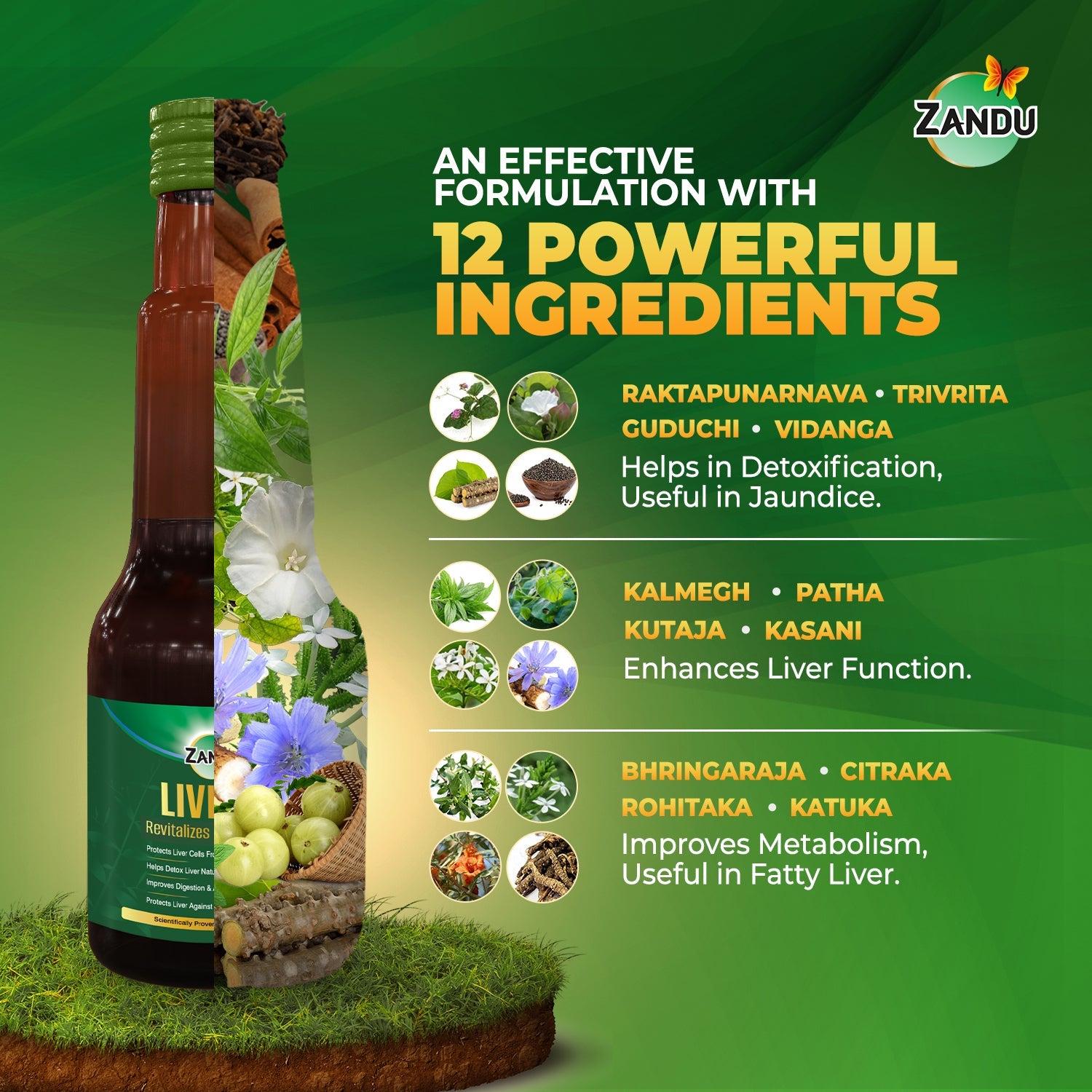 Livital - Ayurvedic Liver Syrup for Liver Health