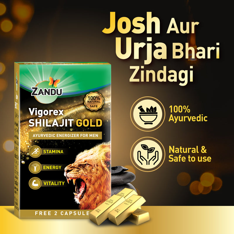 Vigorex Shilajit Gold (10+2 Caps)