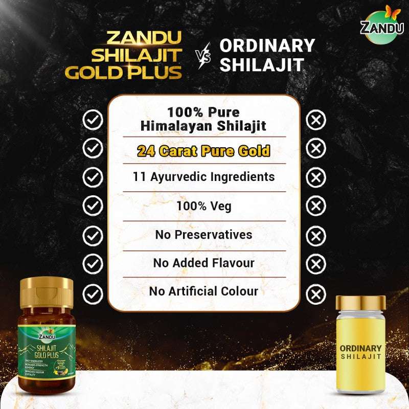Zandu Shilajit Gold vs Ordinary Shilajit