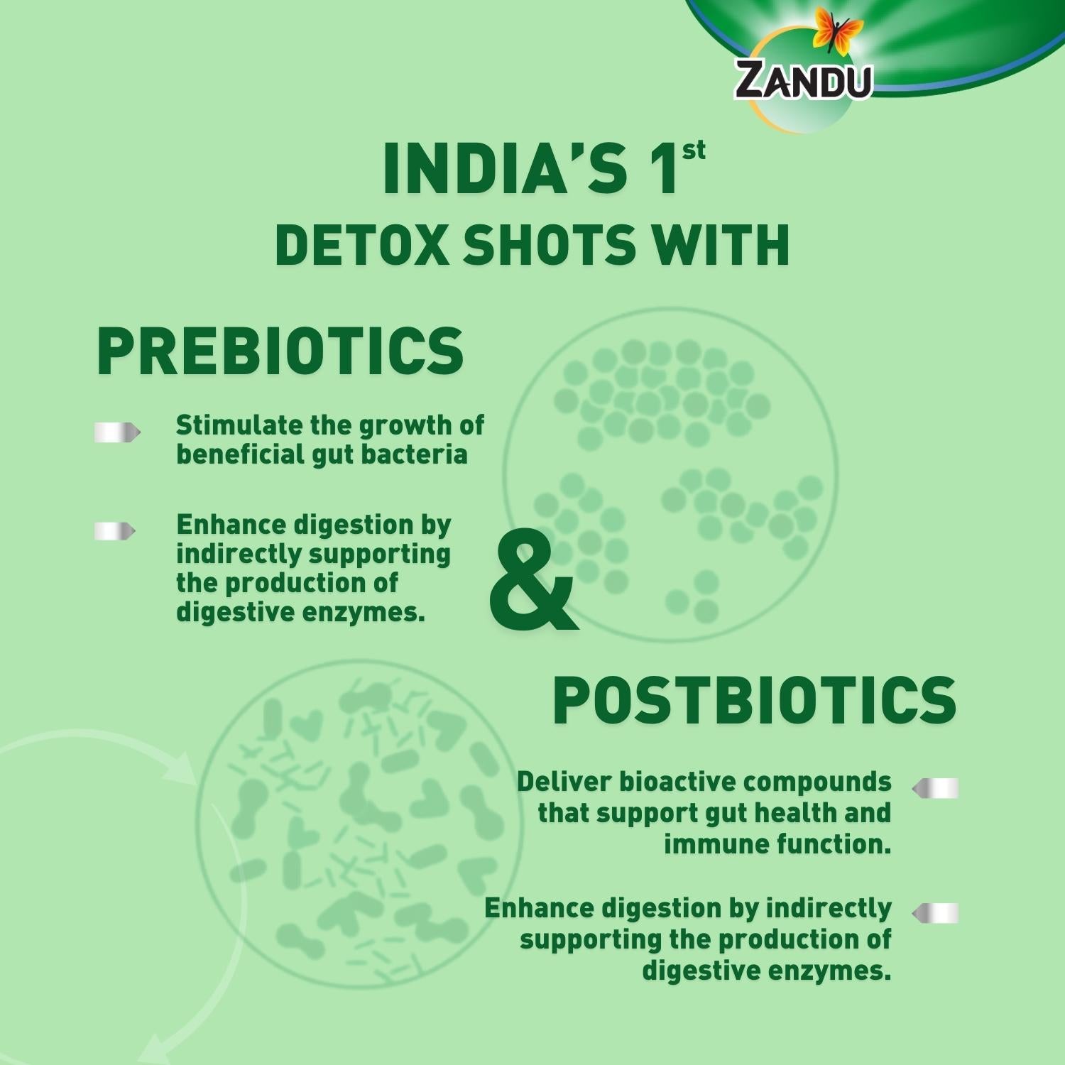 Pancharishta Good Gut Detox Shots | Ayurvedic Medicine for Gut Health