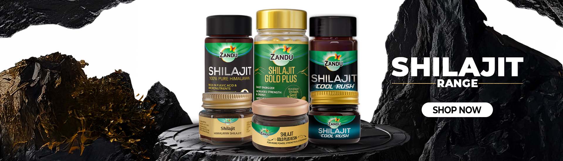 Zandu Shilajit Range