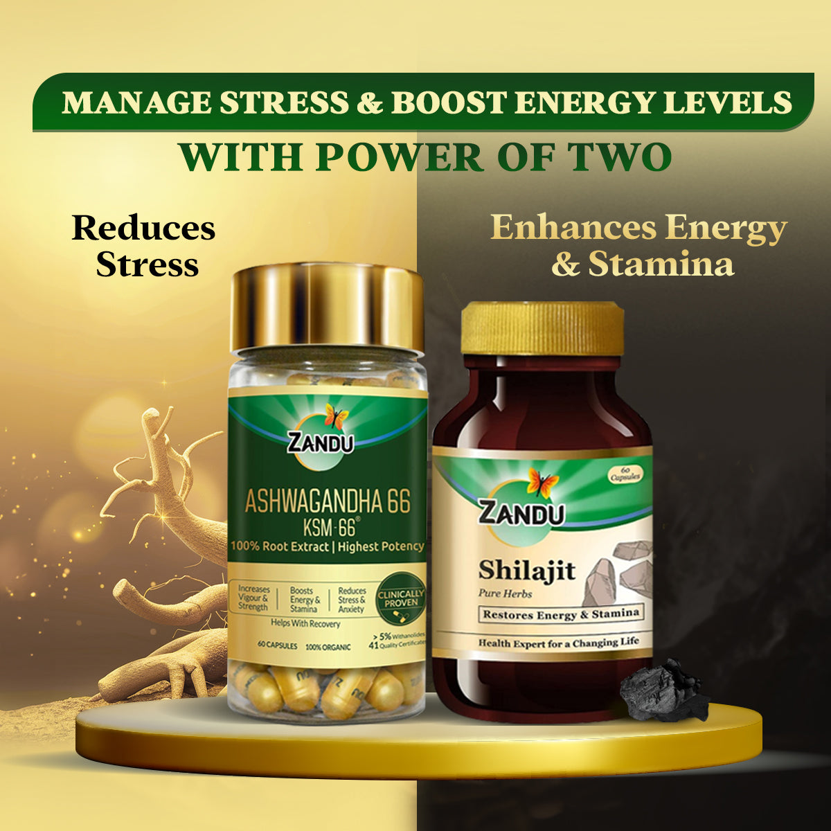 Zandu Shilajit Capsule (60 Caps) + Ashwagandha KSM-66 (60 Caps) | Clinically Proven | Manage stress & maintain energy level | 100% Ayurvedic