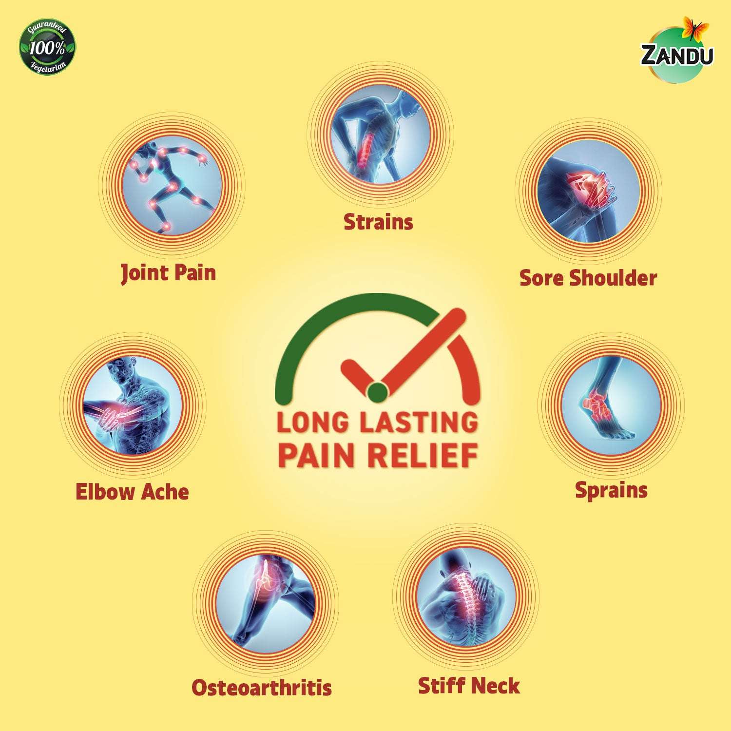 Ayurvedic Pain Relief Patches for Knee, Back & Muscle Pain