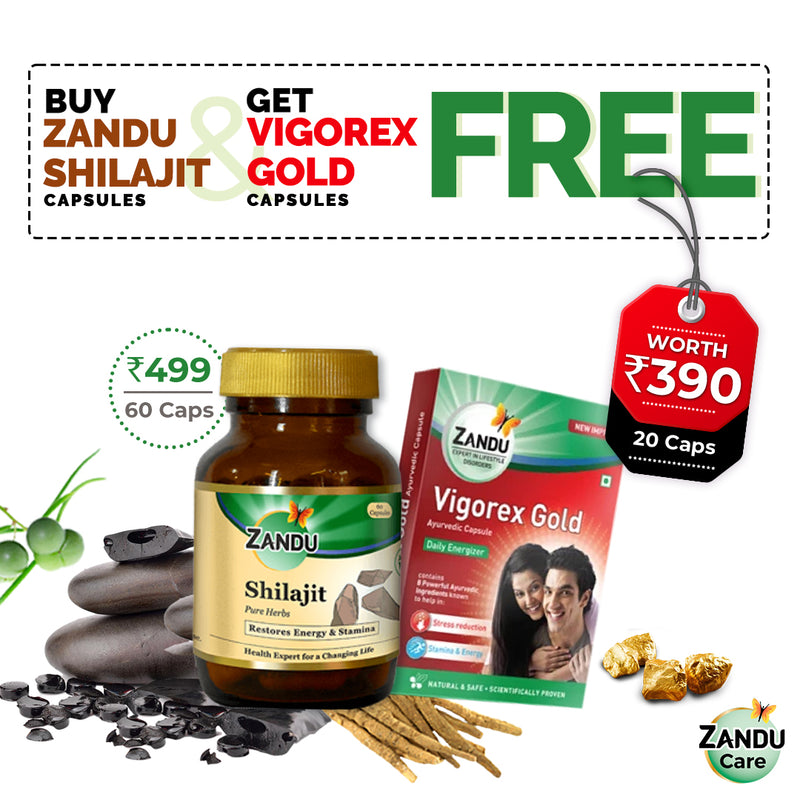 Shilajit (60 Caps) & FREE Vigorex Gold (20 Caps)