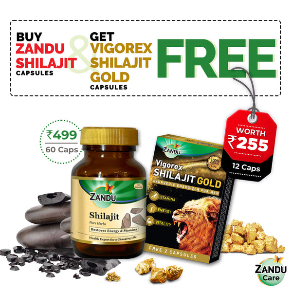 Zandu Shilajit (60 Caps) & FREE Vigorex Shilajit Gold (12 Caps)