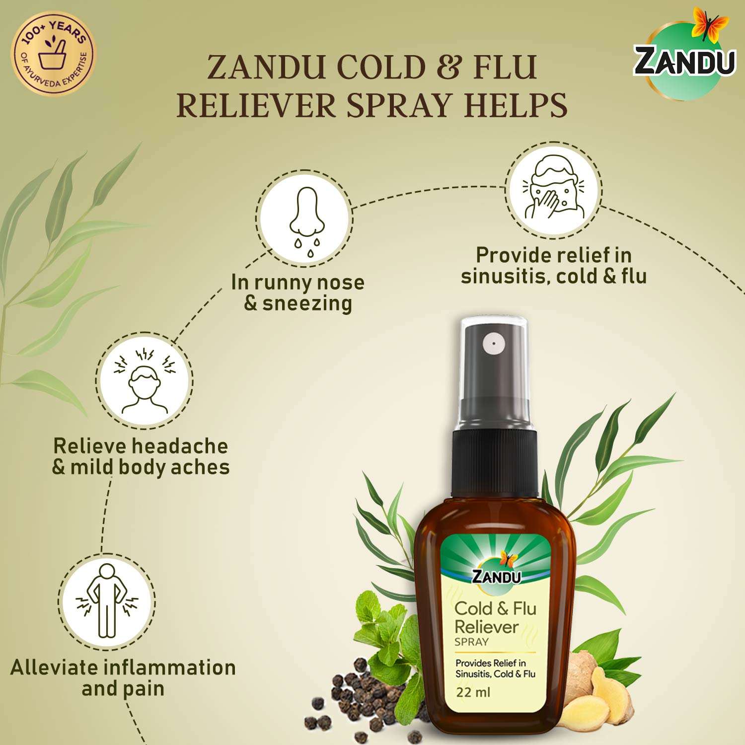 Zandu Cold & Flu Nasal Reliever Spray for Cold benefits