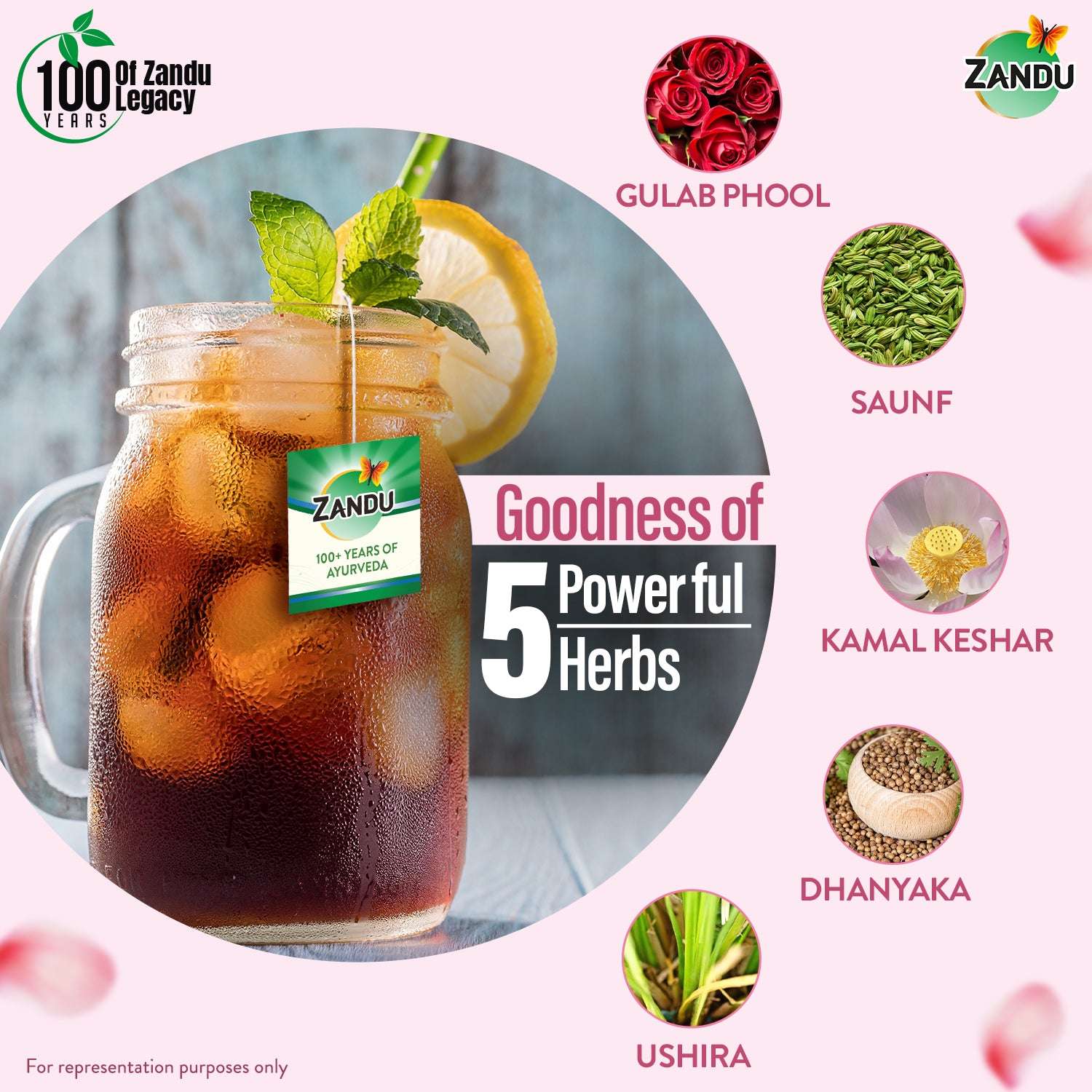 Zandu herbal ice tea ingredients