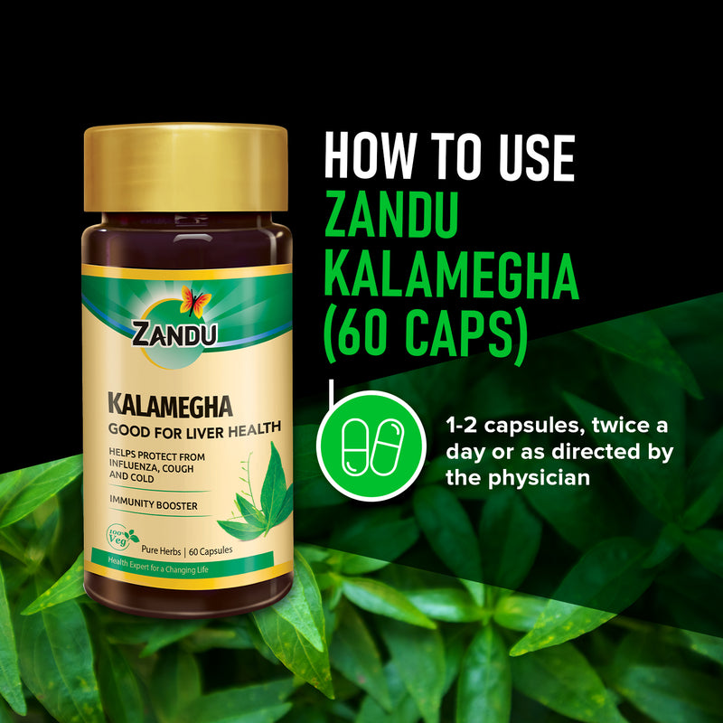 Kalamegha (60 Caps)(Pack of 2)