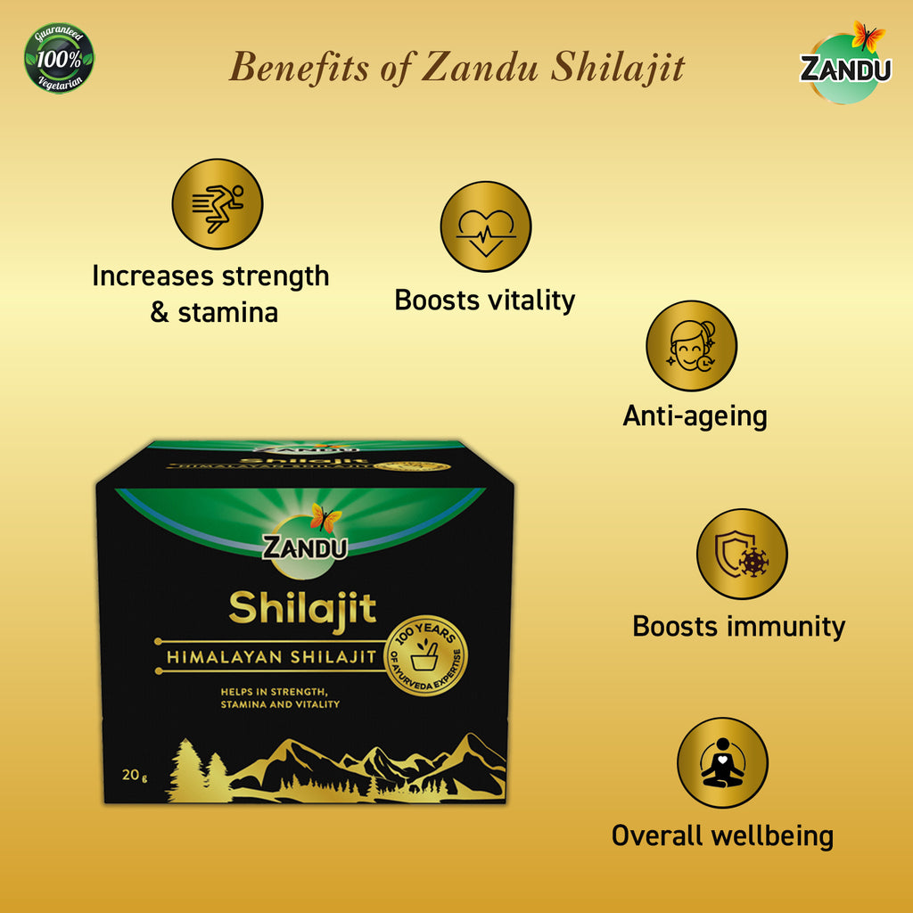 Zandu Pure Himalayan Shilajit Resin (20g) for Strength & Stamina