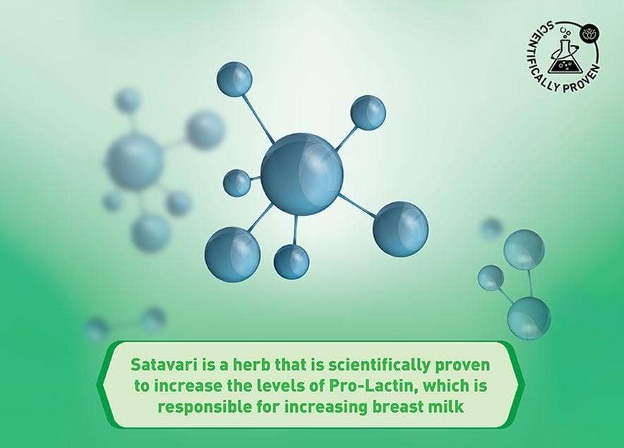 Benefits of Satavari for Lactation