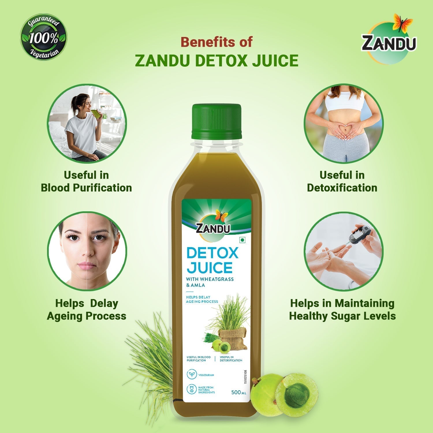 Detox Juice with Wheatgrass & Amla(500ml)