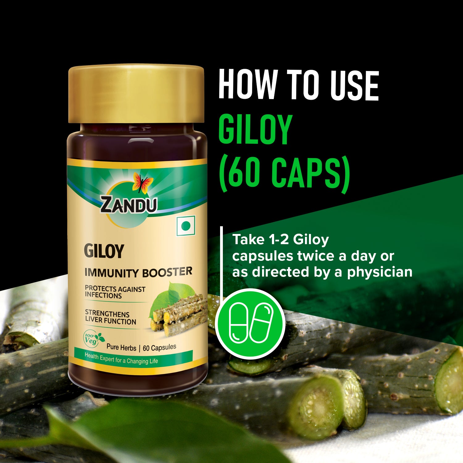 Giloy (60 Caps) (Pack of 2)